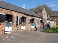 WG250322-119 - Warren Greatrex Stable Visit